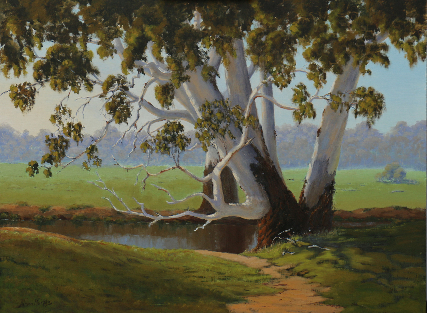 Australian Landscape. Original hand painted artwork. Oil on board. 45x60cm unframed size. To Purchase contact Wide Bay Gallery Queensland Australia. 0741221858.