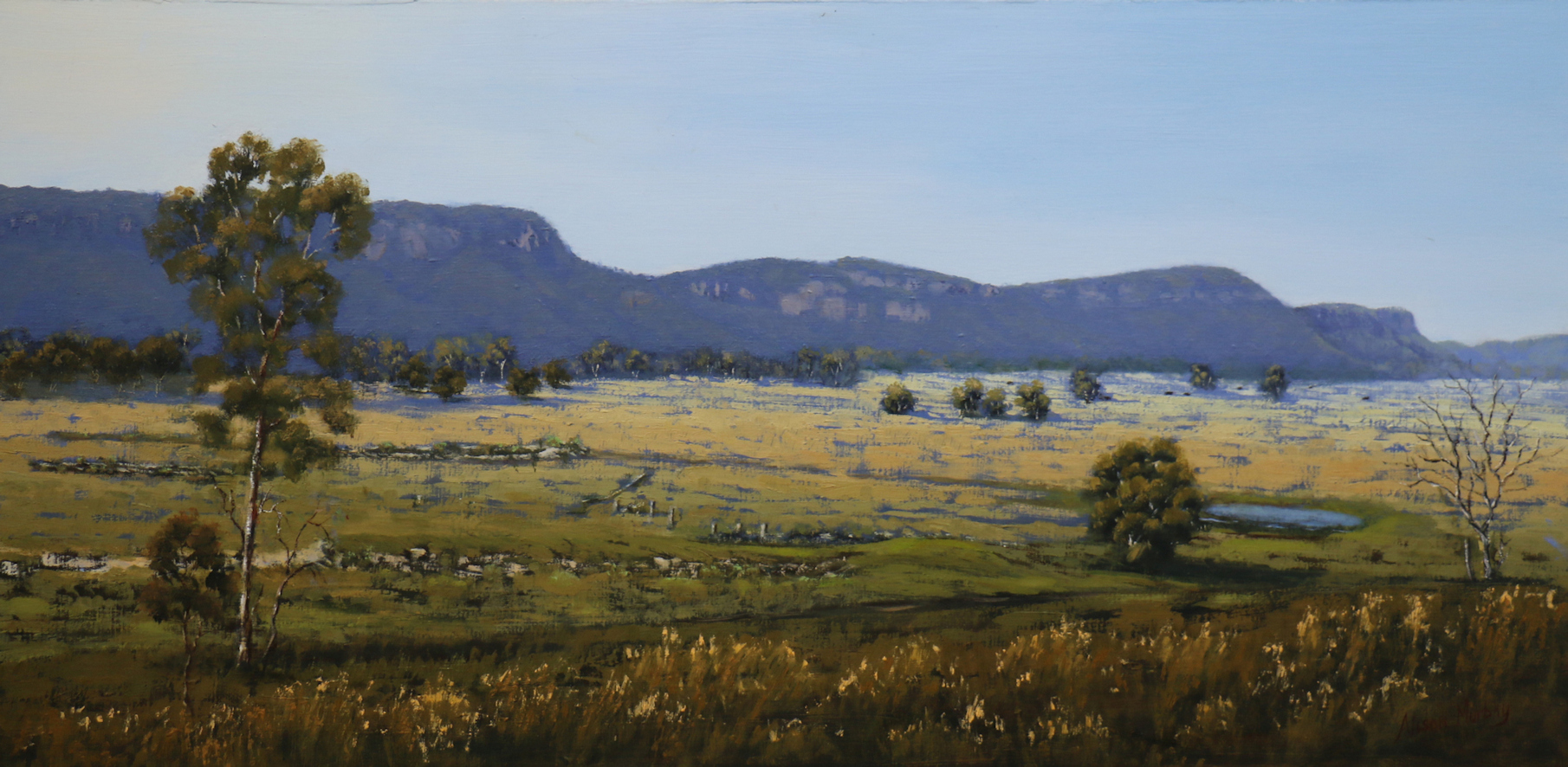Original Oil painting of Capertee Valley NSW Australia